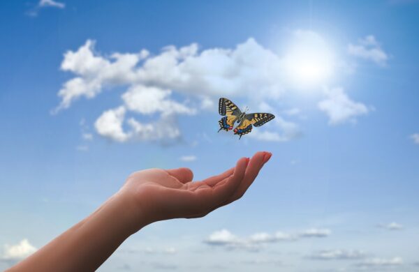 The 5 Stages of Change in Addiction