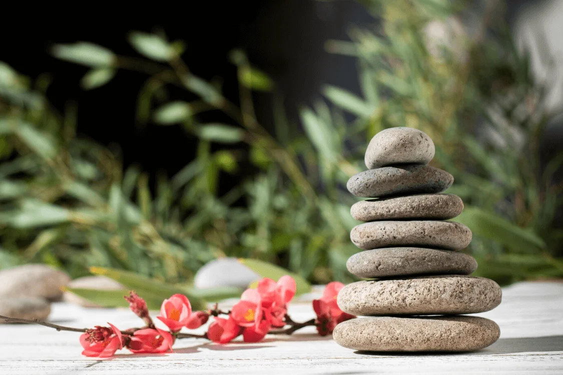 Holistic Therapy for Substance Abuse Recovery