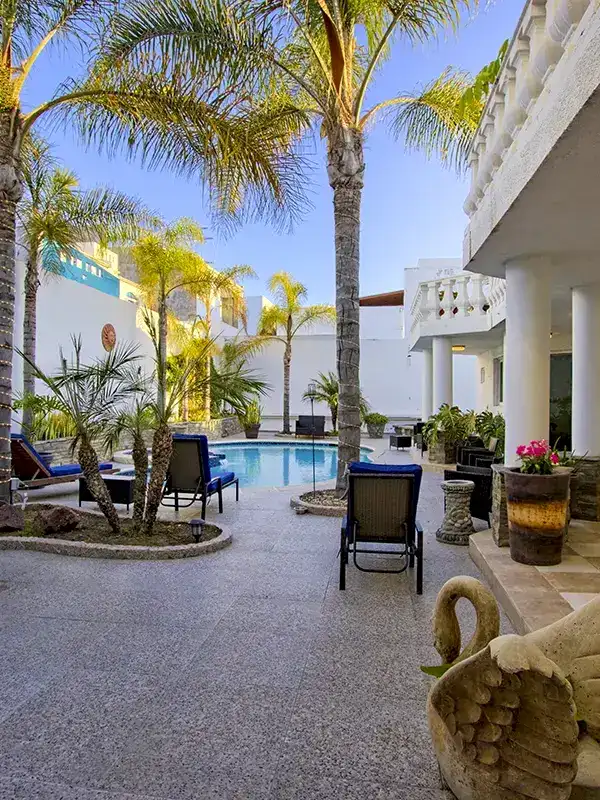 twilight courtyard palm trees pool