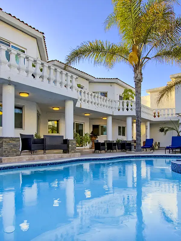 twilight pool palm tree fore